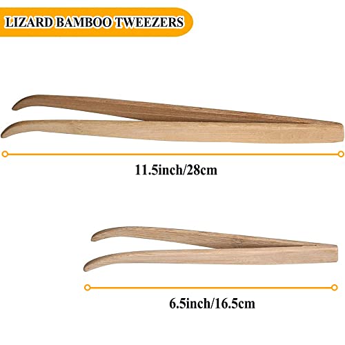 ASOCEA 2 Pack Extra Long Reptile Tweezers Feeder Tool Lizard Feeder Tongs with Anti-Slip Design for Bearded Dragons Lguanas Lizards Turtles Geckos Corals（11in and 6.5in