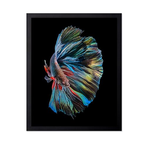 Monem Art Siamese Fighting Fish Print - The Betta Fish Poster - Marine Life Art - Animal Photography Wall Decor - Living Room or Office Decor - 8x10 Unframed Wall Art by Andi Halil - color: Style-03, size: 8"L x 10"W