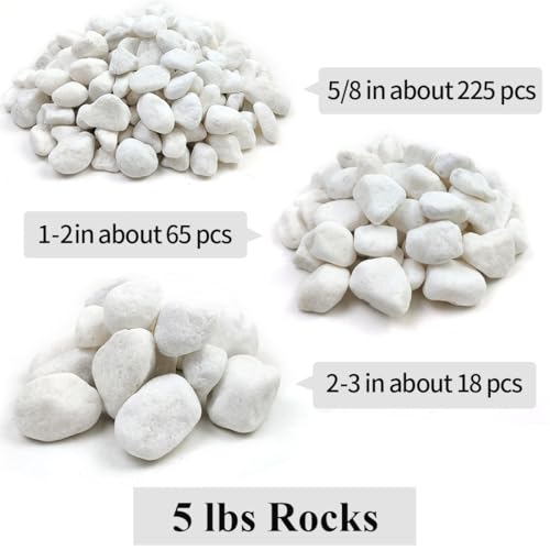 YISZM 20lb White River Rocks for Landscaping, 2-3 Inch Natural Pebbles for Indoor Plants, Snow White Decorative Stones, Ideal for Fish Tank, Vases, Crafting, Home Decor and Garden Rocks - size: 20 Pounds, style: 2-3 Inch