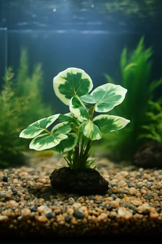 JGbaby Artificial Aquarium Plants,Fish Tank Decorations Betta Leaf Hammock 4in Realistic Silk & Plastic Plants, Hideout Decor for Betta. Goldfish,Reptiles,Small Tanks (Green Type-E) - color: Green Type-e, size: 4 inches