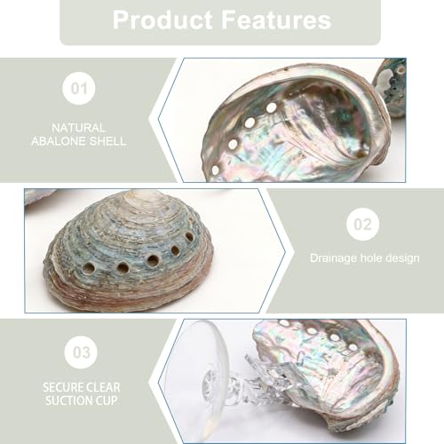 3 Pcs Betta Hammock, Rainbow Iridescent Floating Fish Cave, 3D Printed PLA Aquarium Resting Spot with Feeder Ring, Betta Hideout Shrimp Cave for Nano Tank
