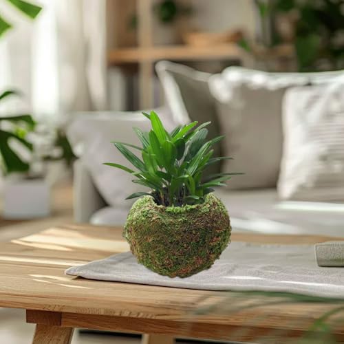 3 Pack Moss Ball Flower Pots,7 in Natural Planter Bonsai Plant Holder Bird Nest for DIY Gardening Home Table Decoration,Weave Moss Ball Planter,Garden Plant Potted Hydrating Flowerpots