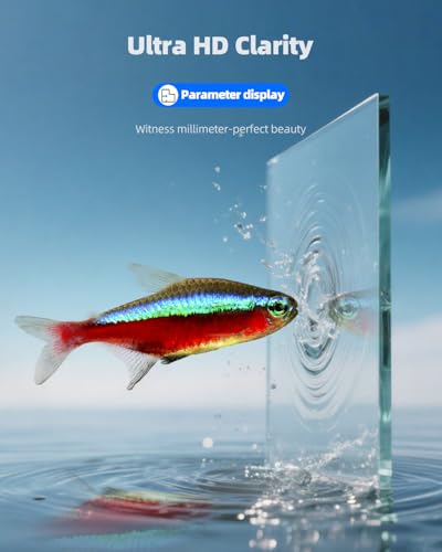 5 Gallon Fish Tank 4.8 Gallon, Small Aquarium Fish Bowl Ultra Clear Rimless Design for Betta Goldfish Snails Shrimp Aquatic Planting - color: Black, size: 4.8 Gallon