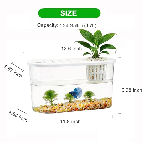 1.2 Gallon Betta Fish Tank, Desktop Aquarium with Lid & Plant Basket, Shatterproof Plastic Fish Bowl for Home Office Dorm Decor