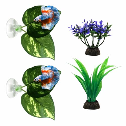 Moonorange Betta Hammock, 4 Pack Betta Fish Leaf Pad and Small Aquarium Artificial Plants, Natural Habitat for Betta Spawning Grounds, Fish Tank Decorations.(4pcs/ABC) - color: 4pcs/Abc