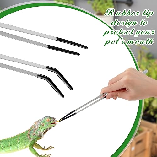 Lasnten 2 Pcs Extra Long Stainless Steel Reptile Feeding Tongs with Rubber Tip 10 Inch, 10.5 Inch Bearded Dragon Aquarium Straight and Curved Long Tweezer Terrarium Feeder Tool for Tank(Silver) - color: Silver, size: 10 Inch, 10.5 Inch