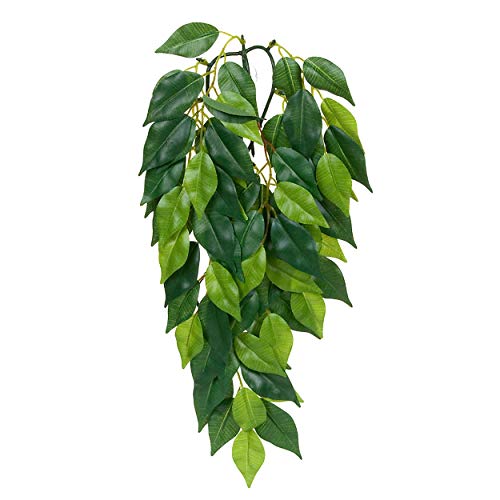 Exo Terra Silk Terrarium Plant, Medium, Ficus - color: Multi Color, size: Medium