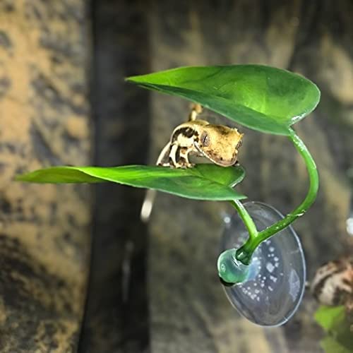 DODO Aqua Betta Fish Leaf Soft Bed Simulating The Natural Habitat for Betta Spawning Grounds Breeding Resting Bed Plastic Suction Cup (1pcs) - size: 1pcs