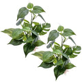 M2cbridge Fish Tank Plastic Soft Grass Artificial Betta Water Plants Decoration Goldfish Hide 12" (Tall Anubias 2pcs) - color: Tall Anubias