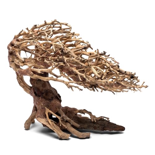 Ultum Nature Systems Bonsai – Handcrafted Driftwood for Aquarium, Tree Shape Aquarium Decor, Fish Tank Decorations, Terrarium Decor, Aquascaping Hardscape for Freshwater & Nano Tank - 019, Medium