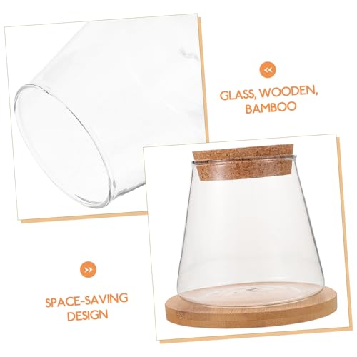 Happyyami 1set Desktop Fish Bowl Lid Glass Small Fish Tank for Betta Elegant Hydroponic Vase Mat Table Adornment for Home