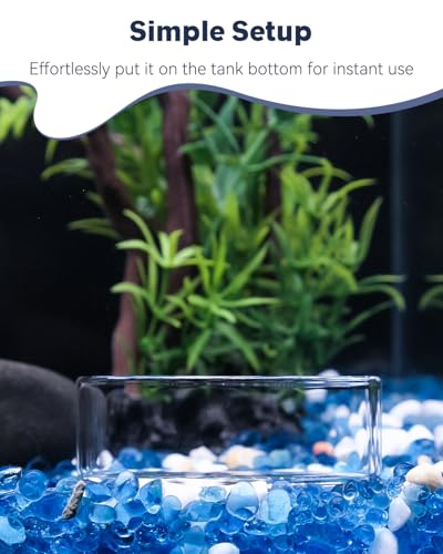 Pawfly 3 Pcs Shrimp Feeding Dish, Clear Glass Aquarium Shrimp Feeder, Transparent Food Tray for Fish Tanks and Terrariums