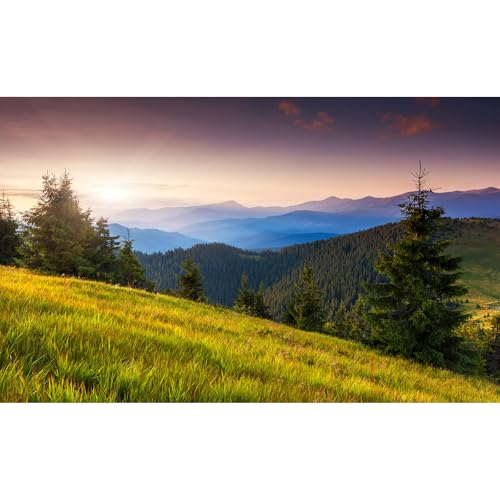 Majestic Morning Mountain Aquarium Background Tranquil Valley Pine Trees Fish Tank Background Sunrise Scenic Mountain Fir Forests Terrarium Backgrounds Green Meadow Reptile Tank Backgrounds 24x16in - color: Foggy Blue_Green, size: 24(W)x16(H)in