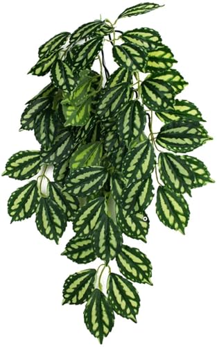 Multipet 48593302: Komodo Two-Toned Leaf Hanging Plant, Sm