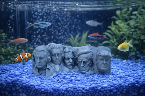 Aquarium Decor Mount Rushmore with Trump Decor for Fish Tank or Betta Fish Trump Head Make America Great Again Patriotic Decor for Tank