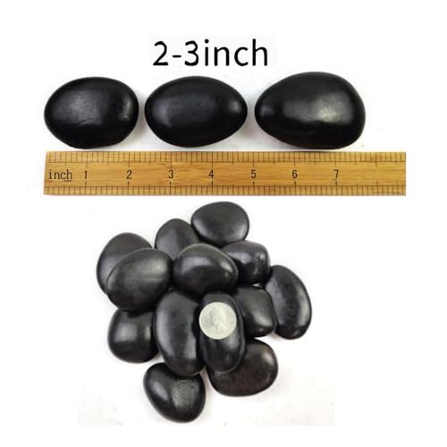 Natural Black River Rocks - 2-3 inch 5LB High Polished Decorative Pebbles, Black Stones for Landscaping, Natural River Rocks for Outdoor Décor, Polished Pebbles for Plants. - size: 5LB, style: Black