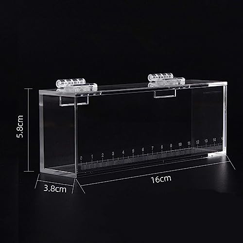 Gazechimp Fishing Photo Tank Fish Viewing Box Acrylic Hatching Incubator Clear Micro Landscape Fish Tank Fish Breeder Isolation Breeder Box with Scale, L