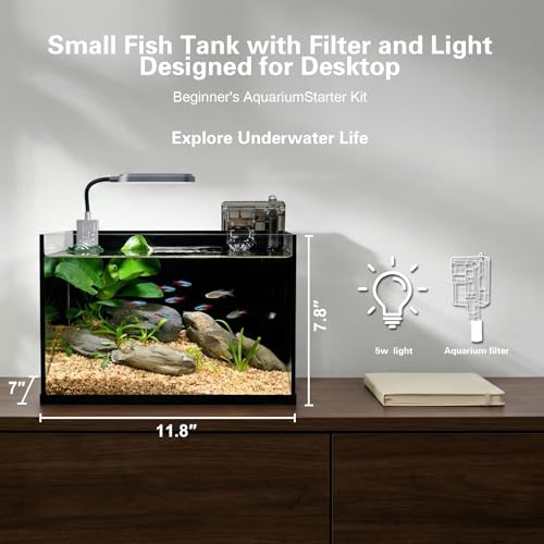 Desktop Glass Fish Tank, 2.8 Gallon Small Betta Fish Tank Starter Kit with LED Light, Efficient Filter and Non-Slip Base, Black Nano Aquarium for Small Space Home Decor ﻿