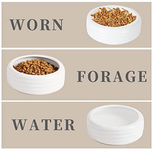 Reptile Food Bowls Ceramic Mini Round Reptile Water Food Dish, Pet Food Bowl for Lizards, Small Snakes, Young Bearded Dragons, Gecko Tortoise Spider (White, Small-2Pack)