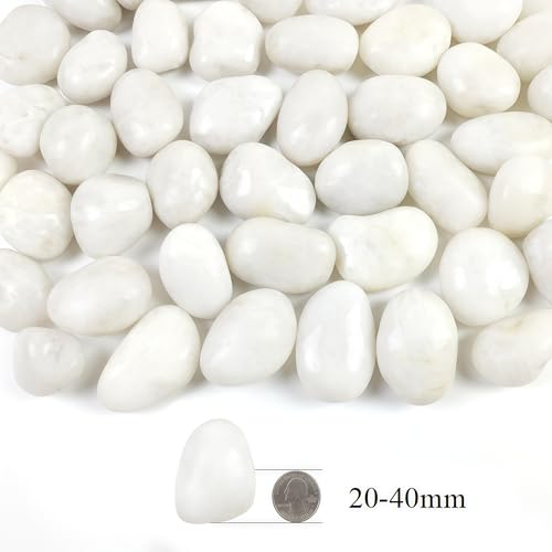 10LB White Pebbles for Plants,1-2.2 Inch Polished Stones for Indoor Pants, Decorative River Rocks for Landscaping. Succulents, Crafting,Fish Tank,Garden,Vase Filler, Outdoor Decoration - size: 10LB, style: White