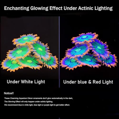 ZtohPyo Glowing Effect Soft Anemone Aquarium Fish Tank Decorations Silicone Glow in The Dark Artificial Ornament Plants for Aquarium Landscape Small/Large Fish Bowl Decor Accessories - color: Orange