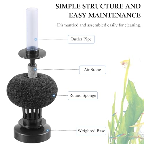 HITOP 2 Pack Aquarium Bio Sponge Filter: Diameter 2.5in Mini Air-Powered Fish Tank Filter, Quiet Small Sponge Filter for up to 15gallon Fish Tank, Betta Tank, Shrimp Tank, Fry Tank, Breeding - style: Mini 2.5in-2pack