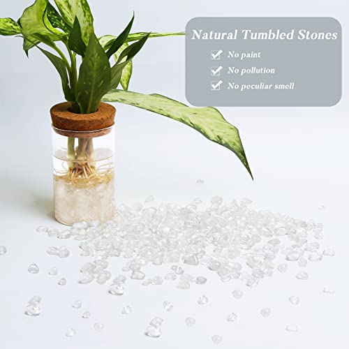 QICQDRAM Polished Gem Stones Rocks Crystals 0.9 Lb/405g Natural Tumbled Stones Clear Quartz Crystal Chips Bulk for Healing Crystals & Fish Tank Rocks Gravel, Vase Filler, Plants Decor - color: Clear Quartz