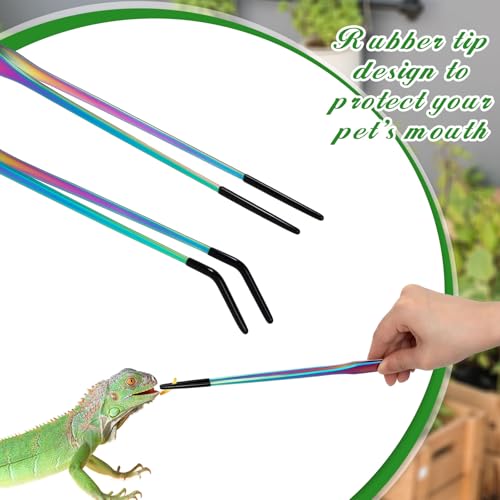 Lasnten 2 Pcs Extra Long Stainless Steel Reptile Feeding Tongs with Rubber Tip 10 Inch, 10.5 Inch Bearded Dragon Aquarium Straight and Curved Long Tweezer Terrarium Feeder Tool for Tank(Colorful) - color: Colorful, size: 10 Inch, 10.5 Inch