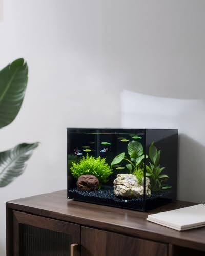 2.5 Gallon Clear Glass Fish Tank, Small Fish Tank Aquarium for Betta, Goldfish, Snail,Shrimp and Aquatic Planting - color: Black, size: 2.5 Gallon