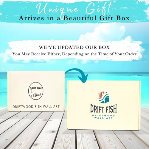 Driftwood Fish Nautical Wall Decor - Handmade Wooden Rustic Coastal Wall Art for Living Room, Bedroom, Office, Bathroom - Ocean Beach Decoration (Goldie)