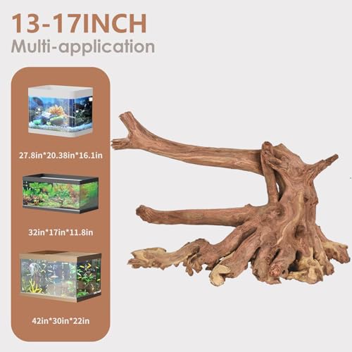 Natural Large Aquarium Driftwood for Fish Tanks & Reptile Terrariums – 100% Safe Fish Tank Decorations, Unique Twisted Branches 1-Piece 13-17 Inch Low Tannin, Easy to Sink - size: Mopani Driftwood 13 to 17 Inch (Pack of 1)