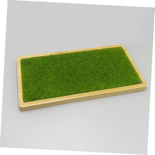 Garneck Resin Ornament Display Stand Tray and Artificial Grass Mat for Handicrafts Figures Dolls and Jewelry Organization Home Decor