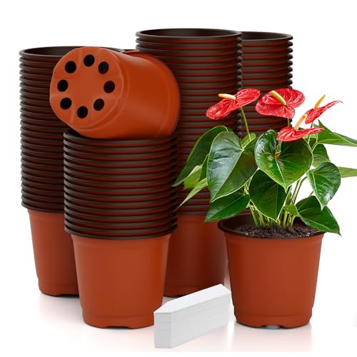 Nursery Pots 100 PCS 6 Inch Plant Pots with 100 Labels, Planting Pot for Plants Indoor Outdoor, Plastic Flower Pot for Seedlings Transplanting Small Plants Growing - size: 6 inch