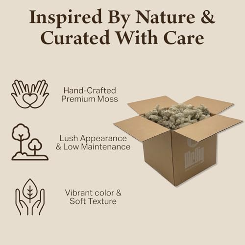 Preserved Reindeer Moss - Moss for Crafts, Home Decor, Art, Design & DIY Projects - Non-Toxic - USA Made (Natural, Standard Box) - color: Natural, size: Box