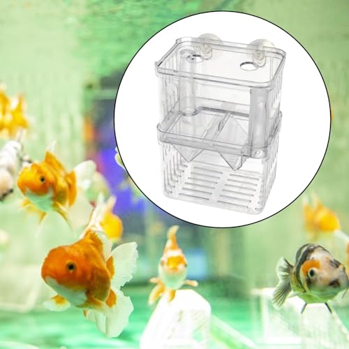 Fish Breeding Isolated Box Float Hatching Separation Acrylic Hatching Box Fish Tank Hatchery for Clownfish Guppy, M - size: M