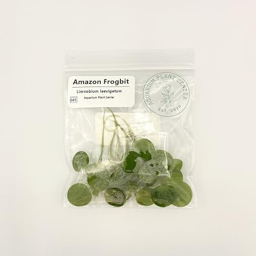 Amazon Frogbit, Limnobium laevigatum, Live Aquarium/Aquatic/Freshwater/Floating/Pond Plant/Planted Tank/Aquascaping/Paludarium by Aquarium Plant Center (6 Plants (18+ Leaves)) - style: 6 Plants (18+ Leaves)