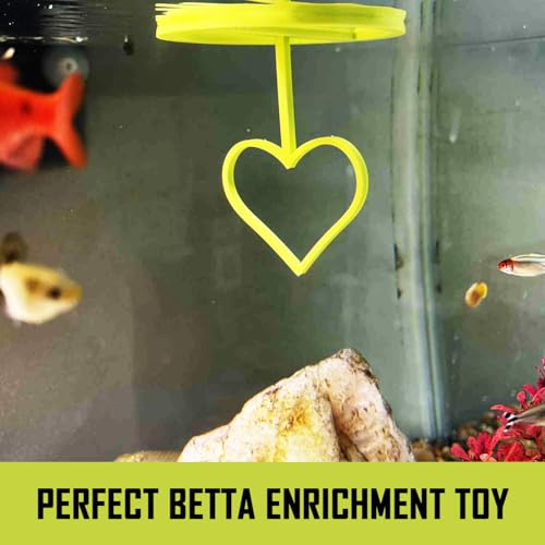 Floating Heart Betta Training Ring, Heart Active Betta Training Ring, Floating Feeder, Enrichment Toys for Aquarium Decor, Pink, 3.8in x 3.7in (Lime, Pack of 2) - color: Lime, size: Pack of 2