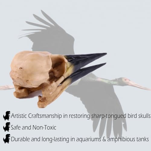 Fish Cave Hideout Ornament Décor for Terrarium Dinosaur Animal Skull Aquarium Large Decorations Betta Tarantula Reptile Snake Decor Bones Halloween - color: Pterosaur