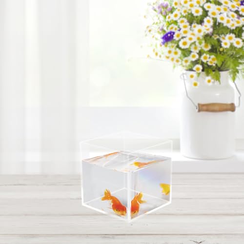 Housoutil Square Acrylic Fish Tank Mini Betta Aquarium for Turtles and Aquatic Plants Versatile Desktop Decor for Home Office and Parties
