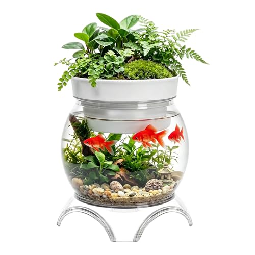3 Gallon PET Aquaponic Betta Fish Tank Aquaponic with Base and Top, Large Bowl Shatterproof Aquarium Fish Tank with Clear Clarity for Terrarium, Flower Vase Centerpiece Present for Fish Lovers - size: 3 Gallon