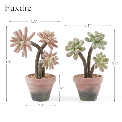 2-Pack Artificial Succulent Plants in Vintage Plastic Pots - Waterproof Fake Succulents Decor for Home, Office, Desk - Low Maintenance Indoor Plants for Bathroom, Shelf, Table Decor - color: Succulent-a-2pcs