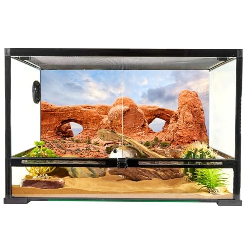 YongFoto Reptile Tank Terrarium Background 30x18 inch Desert Rocky Bush Thorns Western Wilderness Reptile Habitat Background Bearded Dragon Fish Tank Aquarium Polyester Backdrop - color: Orange-2, size: 30 x 18 in