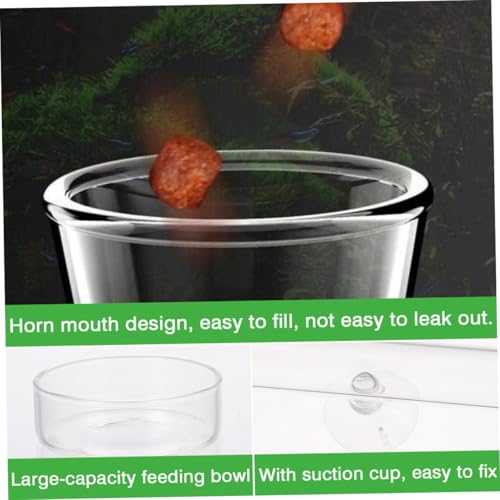 YARNOW Fish Feeding Tube and Shrimp Feeder Dish Set, Glass Aquarium Feeder Tube 20cm with Feeding Tray for Fish Tank Breeding and Aquarium Pets