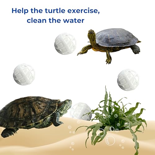 Acrylic Fish Feeding Box Ring for Turtle with Filter Ball Set, Fish Feeder Ring and Nitrifying Ball, Betta Feeding Floating, Turtle Enrichment Toys, Floating Betta Food Holder (Clear, L) - size: Large Box Ring