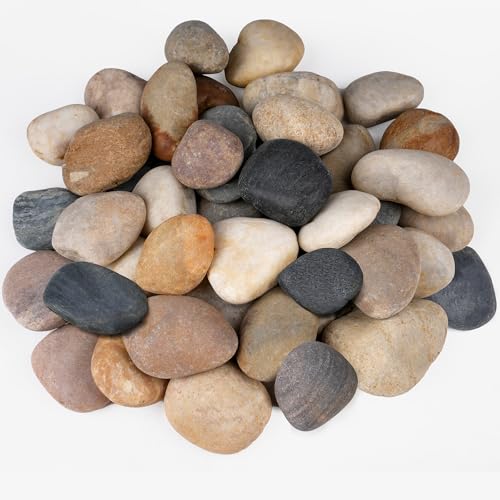 5 lbs Rocks for Outdoor Landscaping, 2"-3" Aquarium Rocks for Fish Tank, Natural Decorative Garden Stone for Plants, Flower Pots, Vase, Walkways, Yard - color: Mixed, size: 5 lbs, 2-3 Inch