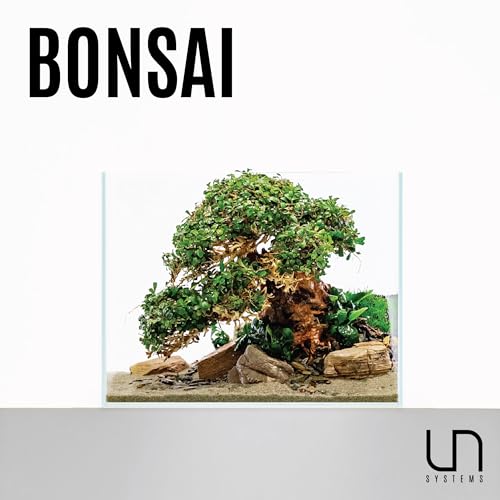 Ultum Nature Systems Bonsai - Handcrafted Hardscape Driftwood for Aquarium, Terrarium, Vivarium, Natural Aquascape Hardscape Decorations, Aquascaping Hardscape for Live Aquatic Plants - 012, Medium