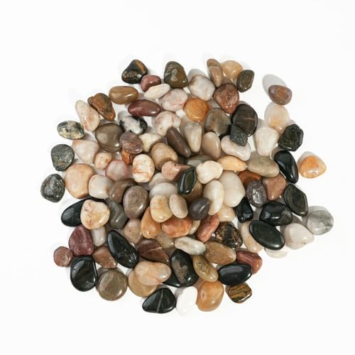 6 LBS River Rocks, StoneCreek, Decorative Garden Stones for Plant Landscaping, Polished Gravel Filler Pebbles for Home Decoration, Vases, Succulents, Flower Beds and Fish Tanks (Mixed Color, Medium) - color: Mixed Color, size: 6 LBS