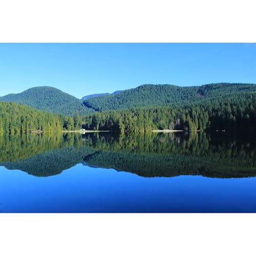 Lake Aquarium Background Tranquil Forest Mountain Reptile Tank Backgrounds Blue Sky Spectacular Natural Lake Fish Tank Background Rainforest Mountains Reptile Enclosure Backgrounds Decors 24x12in - color: Blue_Green, size: 24(W)x12(H)inches/ 60(W)*30cm(H)
