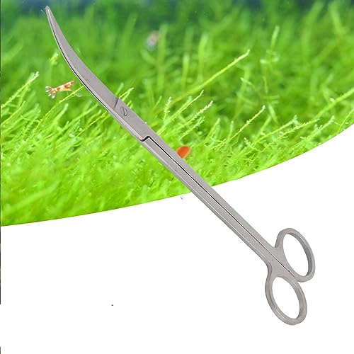 Gavigain Stainless Steel Aquarium Scissors, Curved and Straight Designs, Ergonomic Handle, Sharp Blades, for Aquascaping Hobbyists and Professionals (Bend 25cm)