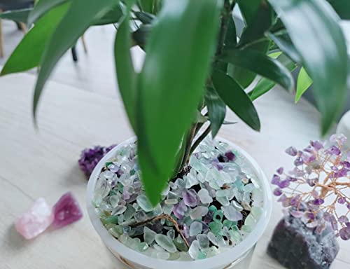 ZHIYUXI Crystal Fluorite Vase Filler, 0.22lbs, Polished Healing Chips for Decoration, Fish Tank Gravel, Succulent Plants, Home Decor - color: A# Fluorite, size: 0.22lbs